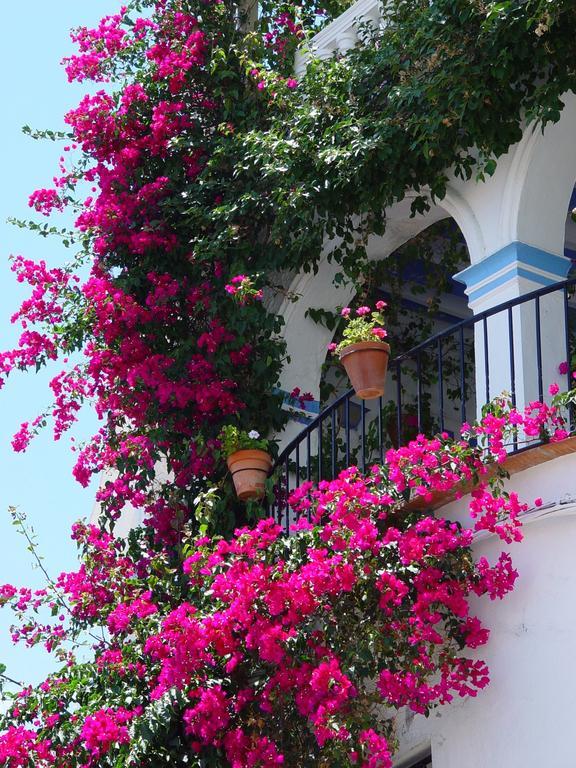Pierre & Vacances Mojacar Playa Exterior photo
